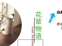 多肉植物別急著“露養(yǎng)”，大神教你做好“4準(zhǔn)備”，可以減少空盆